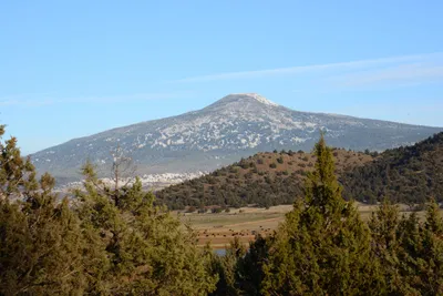 DSC_3042 (Large).JPG